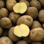 Low-Glycemic-Potatoes—AR2012-04
