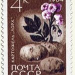 stamp04