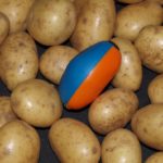 TuberLog-with-potatoes