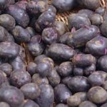 purple-pigmented-potato