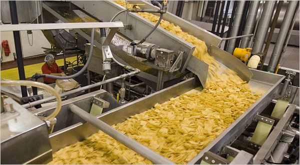 Potato processing plant
