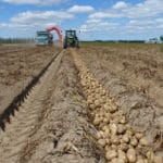 Potato harvest 2017 copy