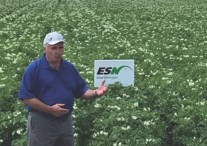 Alan Baylock stands in potato field