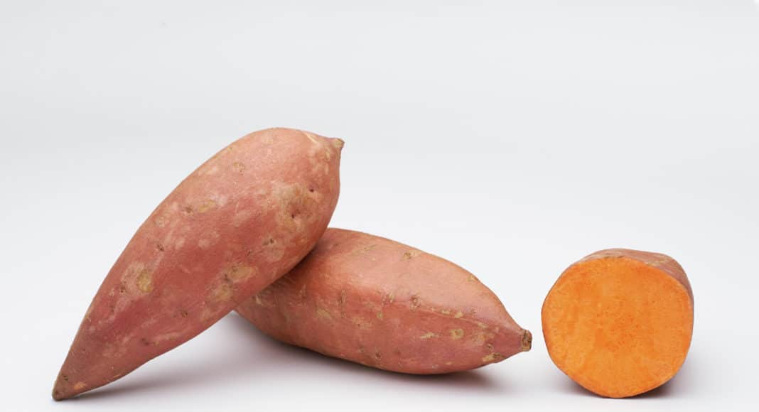 Radiance sweet potatoes