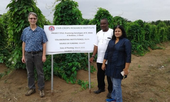 Agriculture and Agri-Food Canada potato breeder David De Koeyer in Ghana