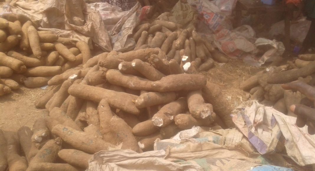 Yams for sale at a market in Nigeria
