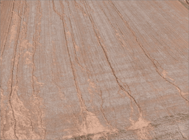 Bean stubble erosion