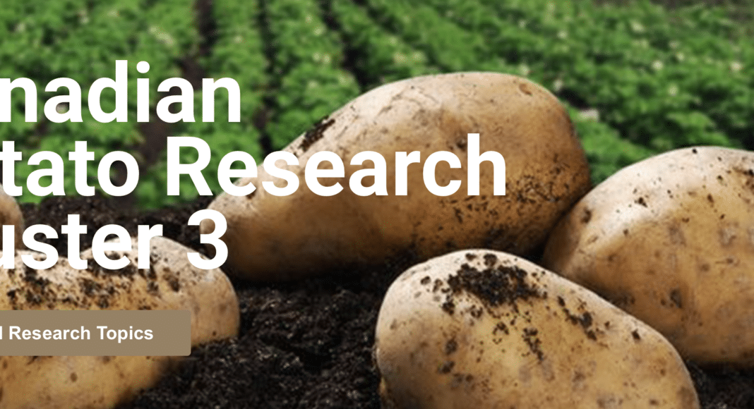 Canadian Potato Council research site