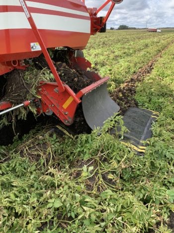 Reducing Tillage
