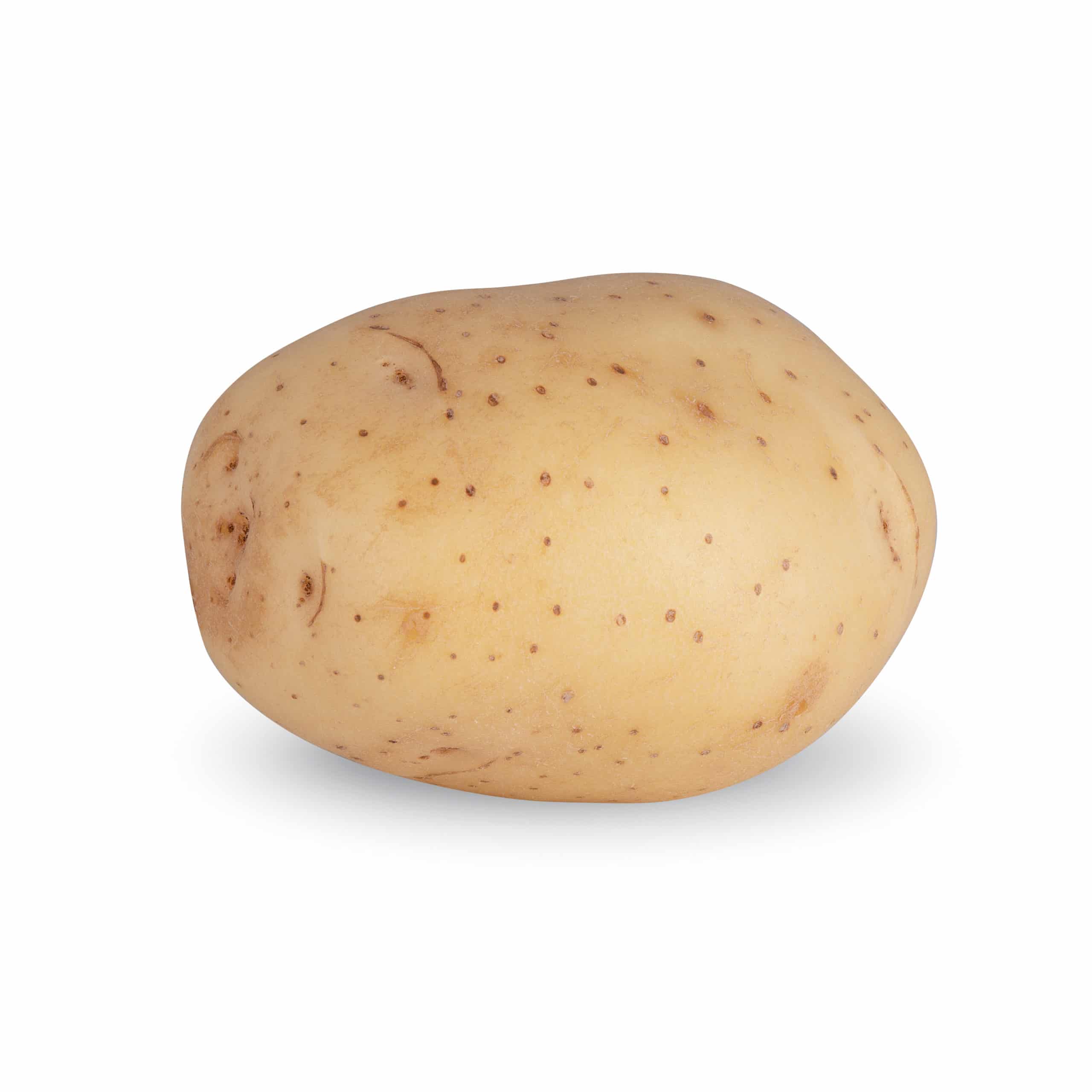 Alouette potato variety