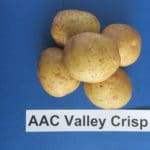 AAC Valley Crisp