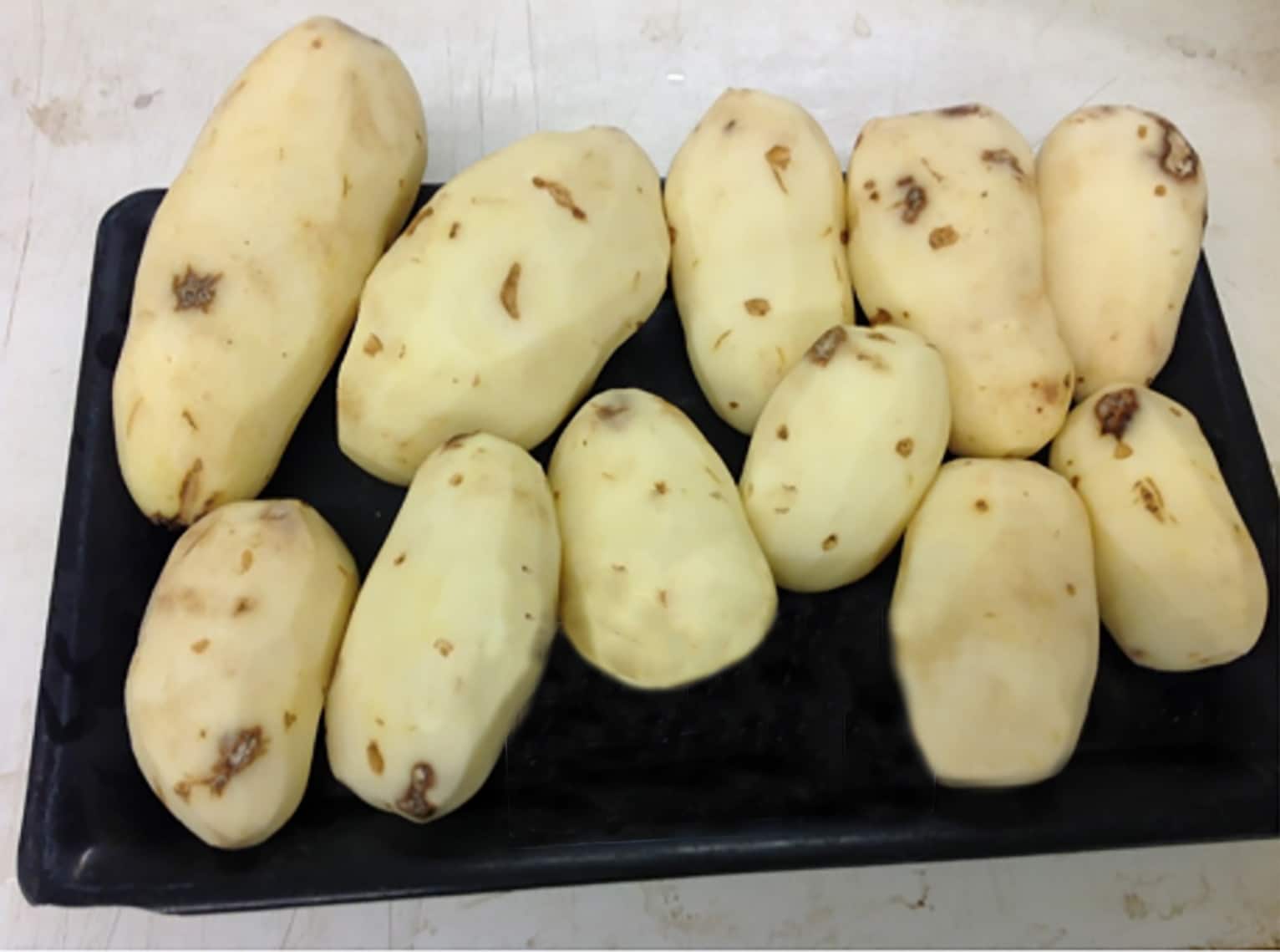1,4-DMN treated Russet Burbank potatoes