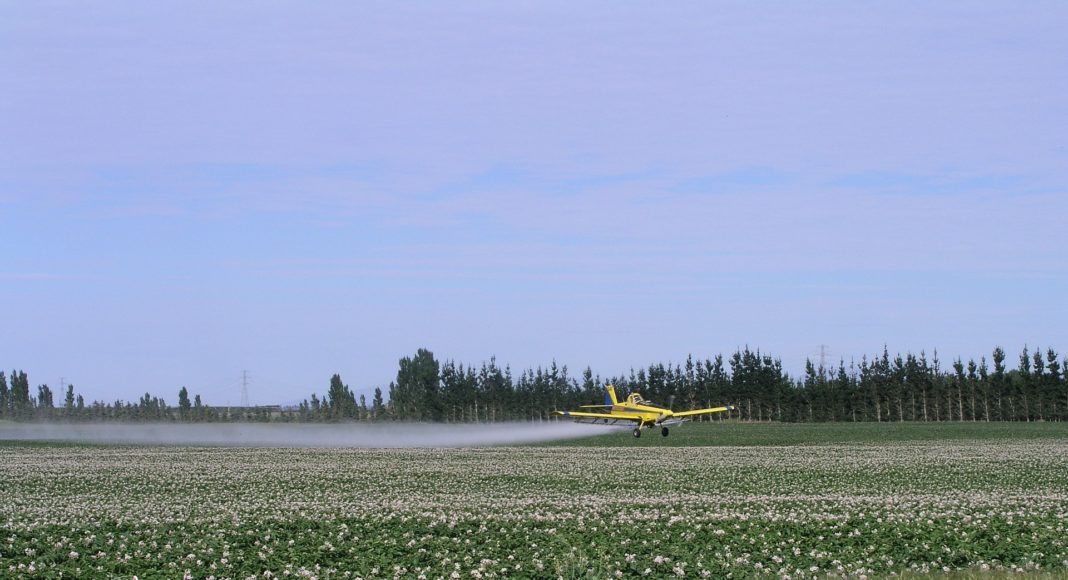 Potato field being sprayed
