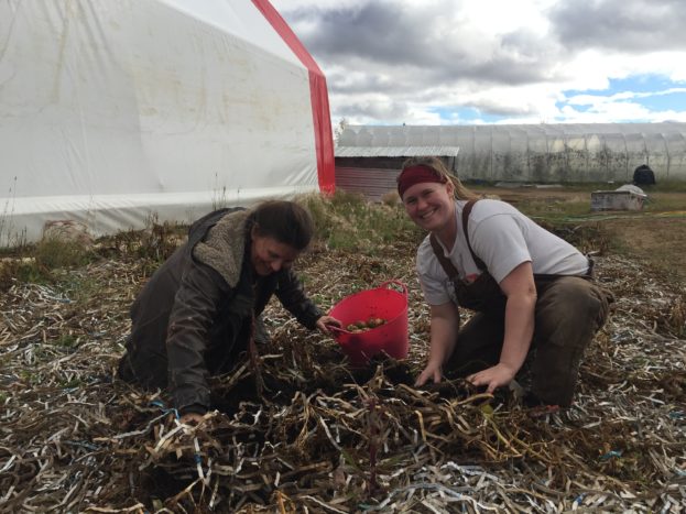 NFTI President Jackie Milne digs up some potatoes