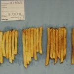 French fries sugar test