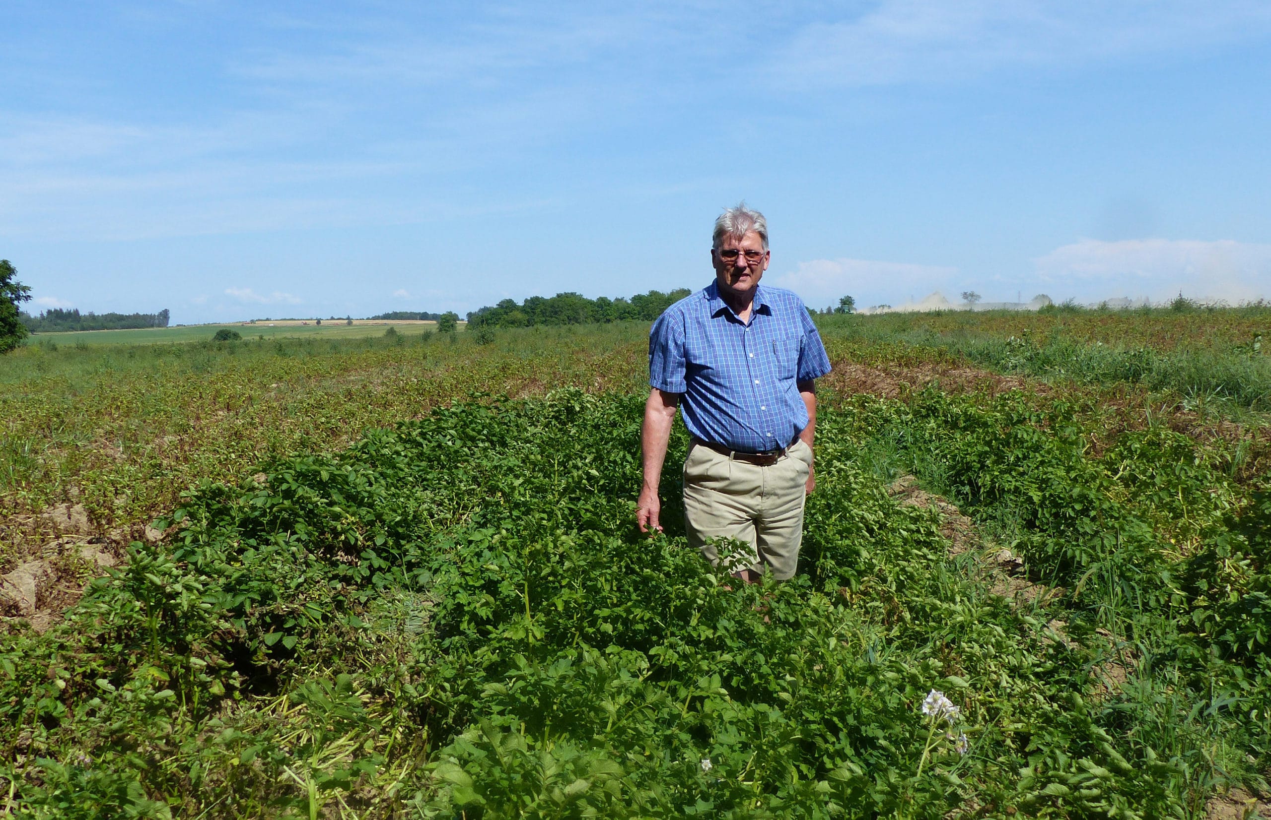 Peter Vander Zaag in field with potato clones showing resistance to late blight