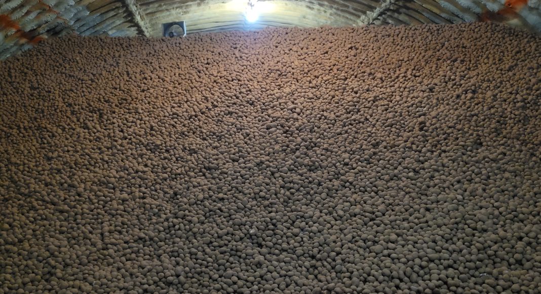Victoria Potato Farm potato pile