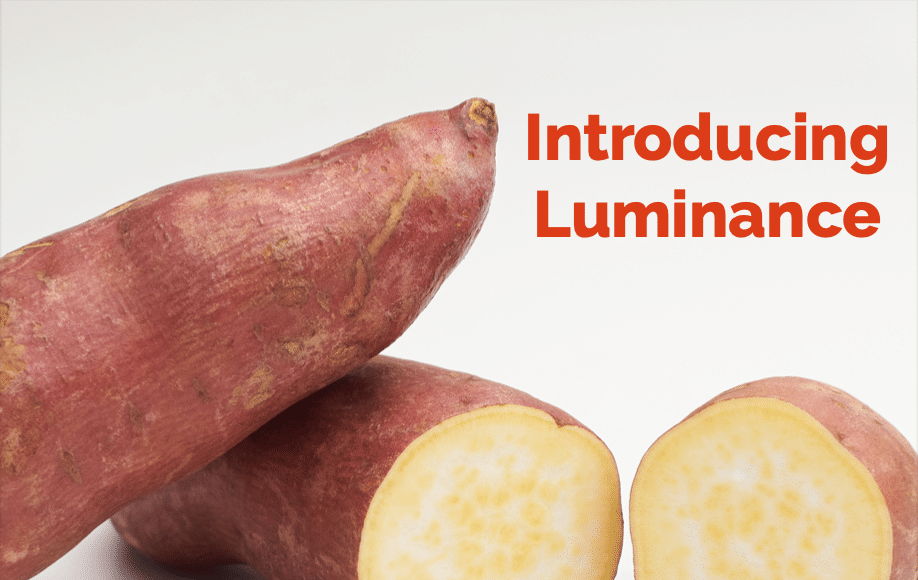 Luminance sweet potato