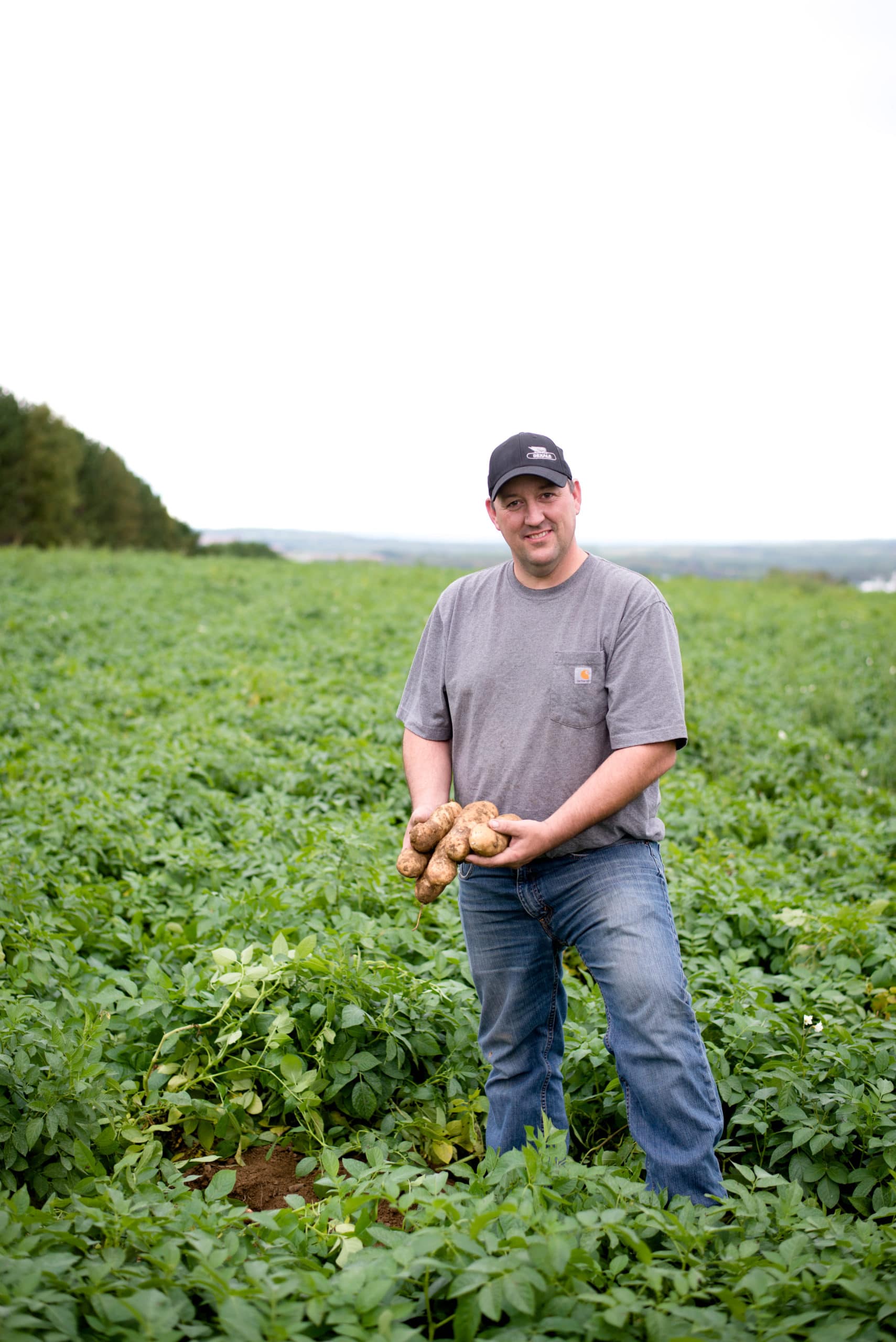 What’s Happening in the Canadian Potato Industry?