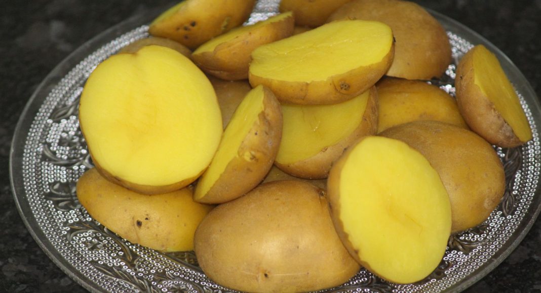 Cooked Yukon Gold potatoes