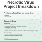Necrotic Virus Project Breakdown graphic