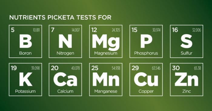 Nutrients Picketa tests for