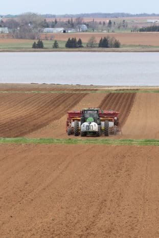 Potato field on D&C Vander Zaag Farms