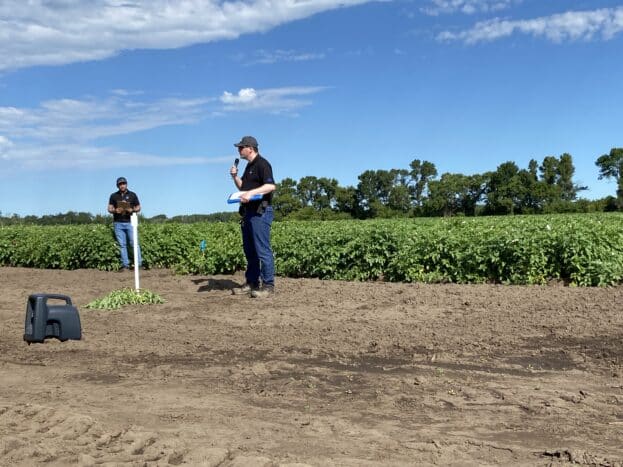 CMCDC black dot management trial