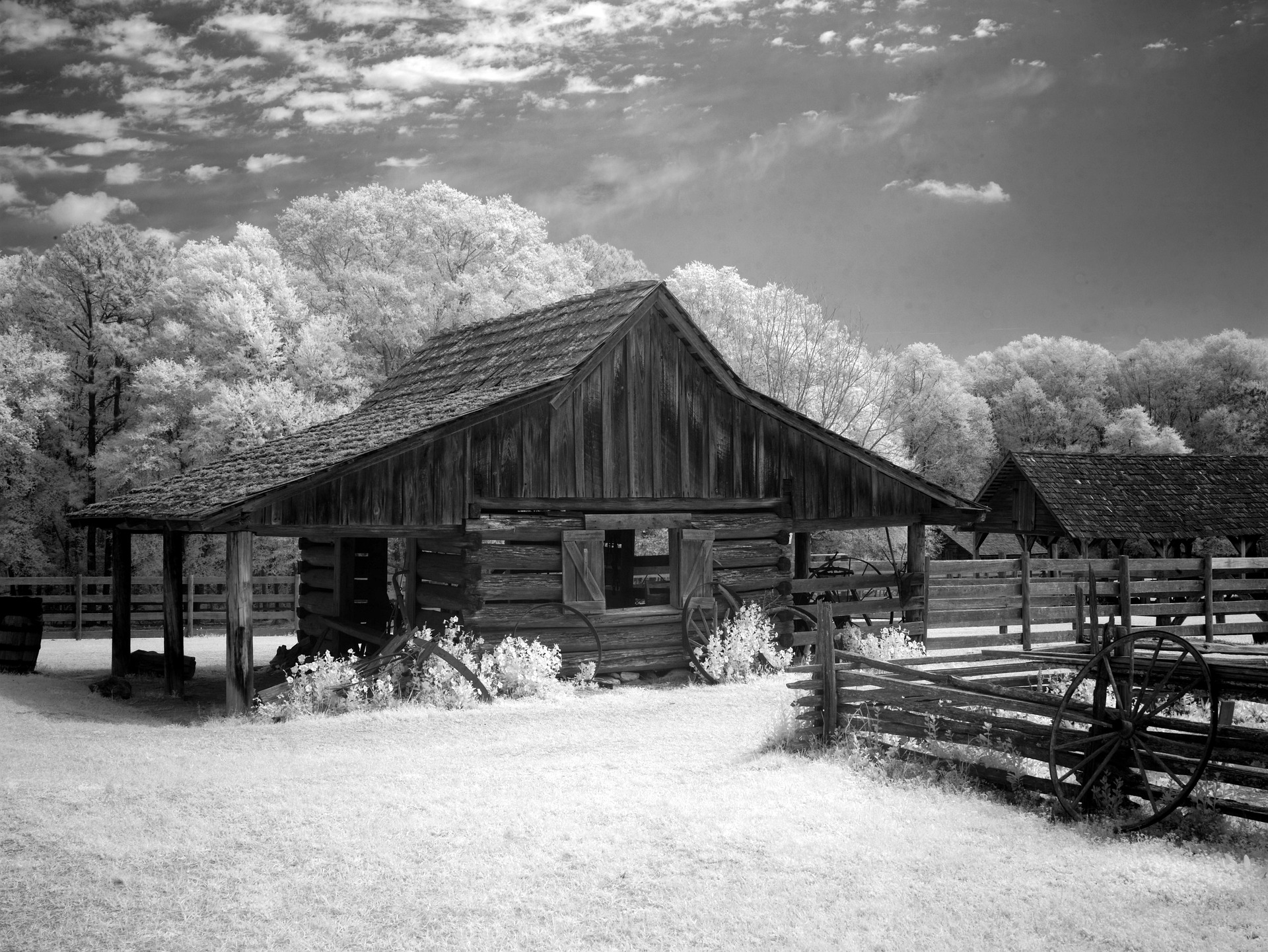 Black and white barn