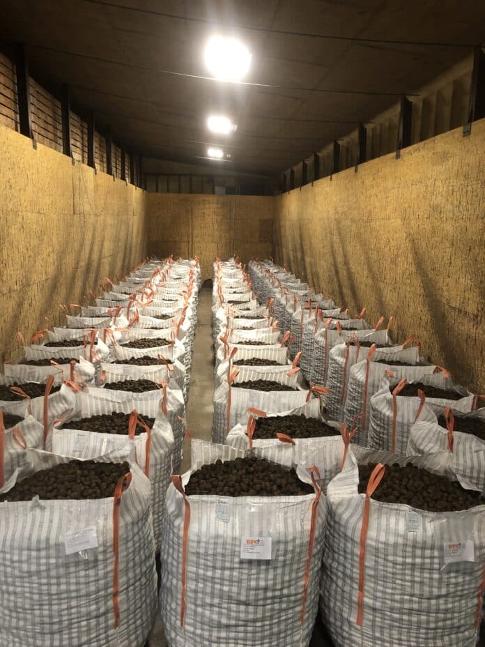 Tote bags of seed in a potato storage