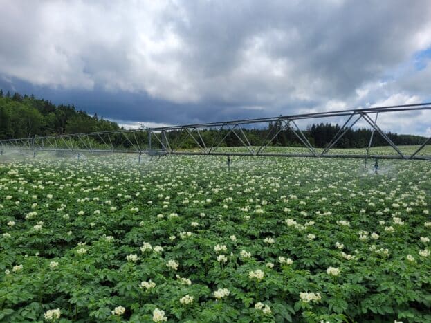 Irrigation pivot at Hakkers Organics