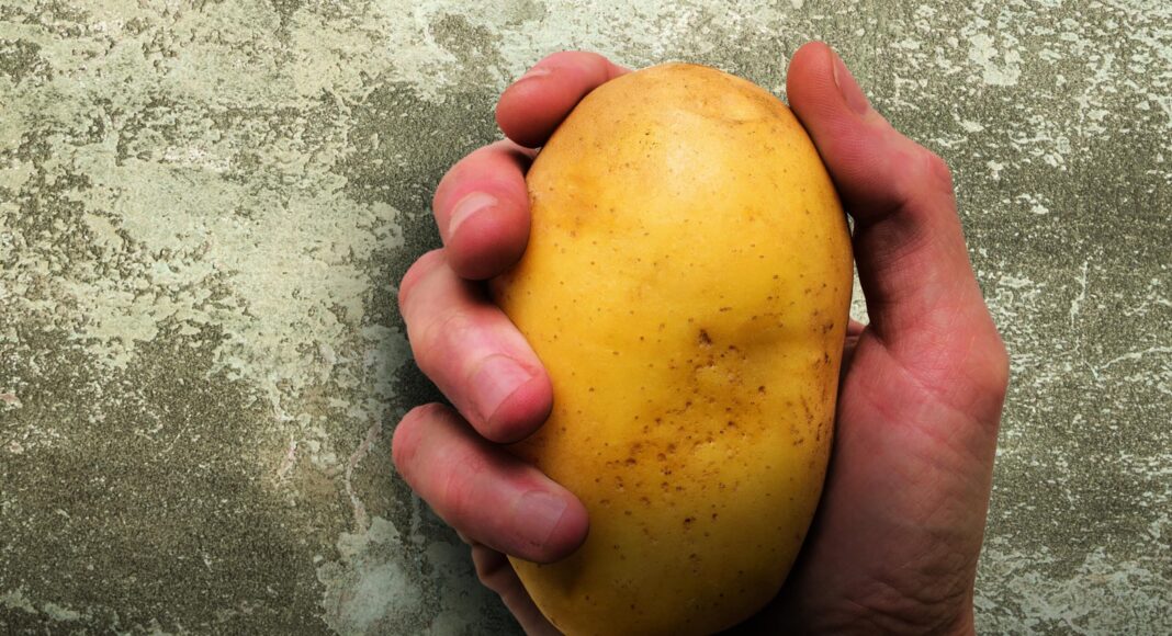 Hand holding potato