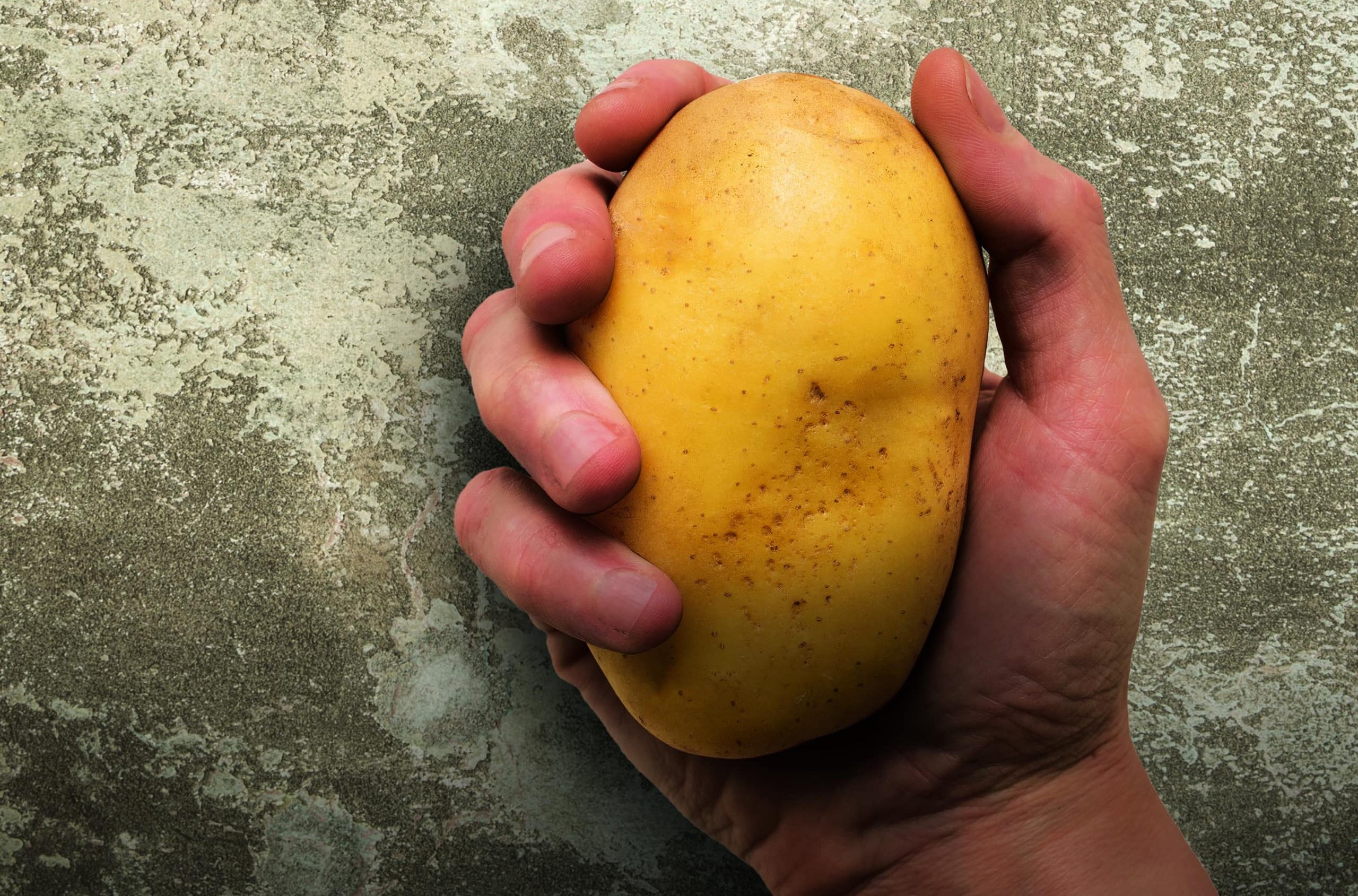 Hand holding potato
