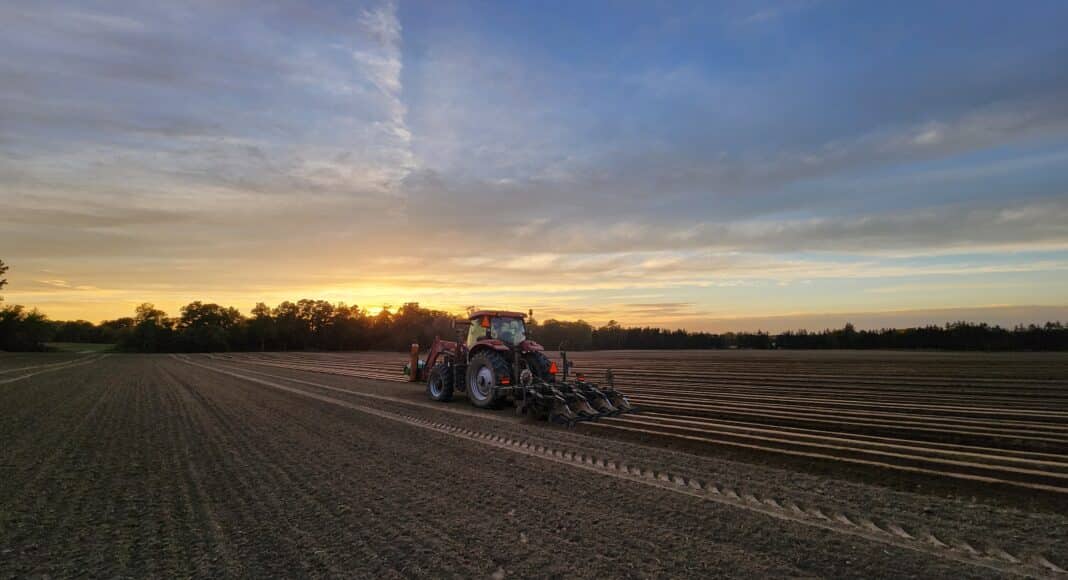 Tractor in field tilling