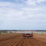 Potatoes are planted in a field at G Visser and Sons